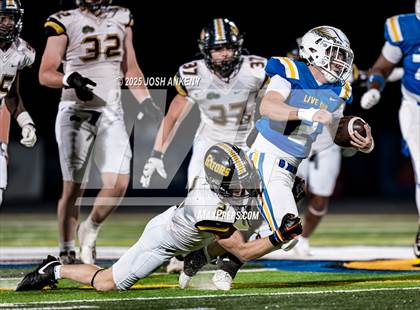 Thumbnail 2 in St. Amant @ Live Oak photogallery.