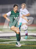 Photo from the gallery "Archie Williams @ Miramonte"