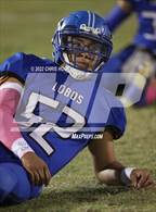 Photo from the gallery "St. David @ Hayden"