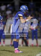 Photo from the gallery "St. David @ Hayden"