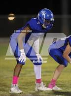 Photo from the gallery "St. David @ Hayden"