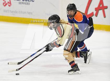 Thumbnail 2 in Potsdam vs Williamsville (NYSPHSAA Semifinal) photogallery.