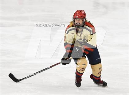 Thumbnail 3 in Potsdam vs Williamsville (NYSPHSAA Semifinal) photogallery.