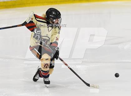 Thumbnail 3 in Potsdam vs Williamsville (NYSPHSAA Semifinal) photogallery.