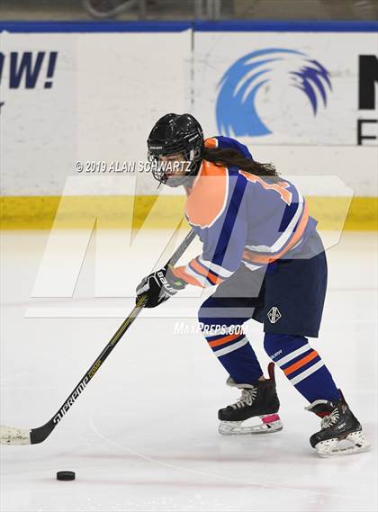 Thumbnail 3 in Potsdam vs Williamsville (NYSPHSAA Semifinal) photogallery.