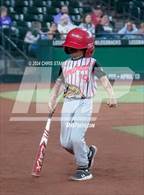 Photo from the gallery "Central @ North Canyon"
