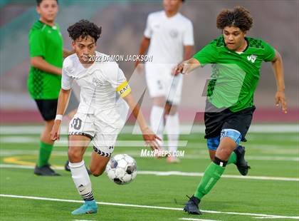 Thumbnail 3 in Pahrump Valley @ Virgin Valley photogallery.