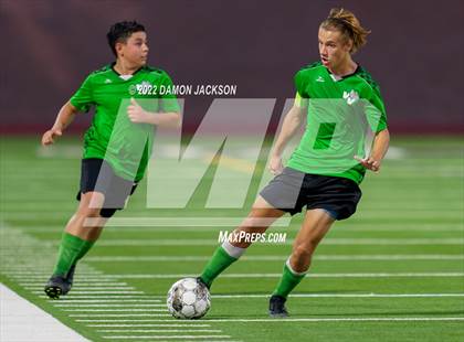 Thumbnail 1 in Pahrump Valley @ Virgin Valley photogallery.
