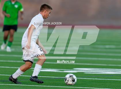 Thumbnail 2 in Pahrump Valley @ Virgin Valley photogallery.