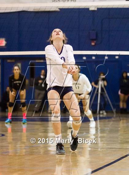 Thumbnail 3 in Pitman @ Turlock photogallery.