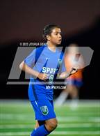 Photo from the gallery "Rampart @ Doherty"