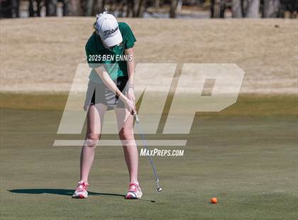 Thumbnail 2 in Esther Cannizzo Invitational (Round 2) photogallery.