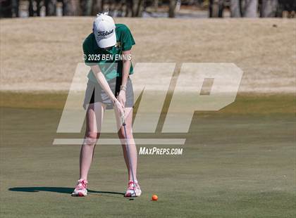 Thumbnail 3 in Esther Cannizzo Invitational (Round 2) photogallery.