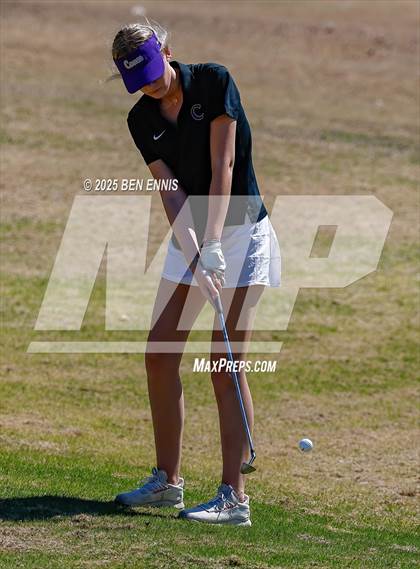 Thumbnail 3 in Esther Cannizzo Invitational (Round 2) photogallery.