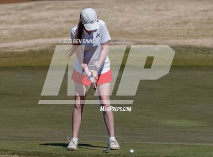 Thumbnail 3 in Esther Cannizzo Invitational (Round 2) photogallery.