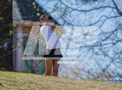 Thumbnail 3 in Esther Cannizzo Invitational (Round 2) photogallery.