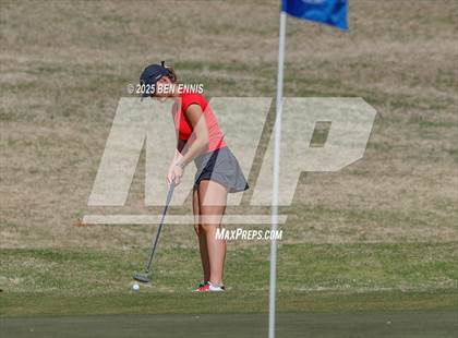 Thumbnail 3 in Esther Cannizzo Invitational (Round 2) photogallery.