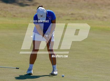 Thumbnail 3 in Esther Cannizzo Invitational (Round 2) photogallery.