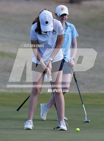 Thumbnail 2 in Esther Cannizzo Invitational (Round 2) photogallery.