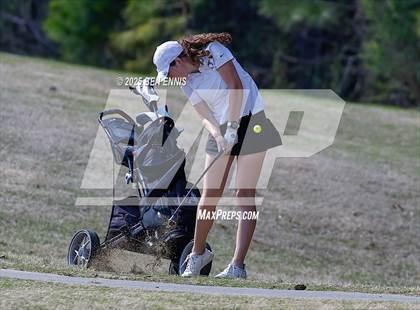 Thumbnail 2 in Esther Cannizzo Invitational (Round 2) photogallery.