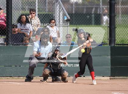 Thumbnail 3 in Willow Glen @ Piedmont Hills photogallery.