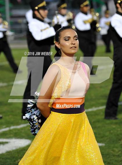 Thumbnail 1 in Pasco @ Mitchell photogallery.