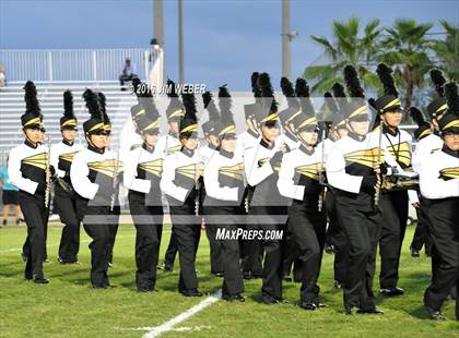 Thumbnail 1 in Pasco @ Mitchell photogallery.