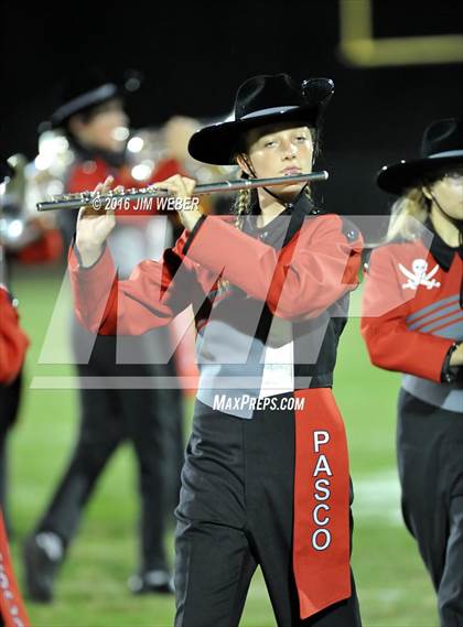 Thumbnail 3 in Pasco @ Mitchell photogallery.