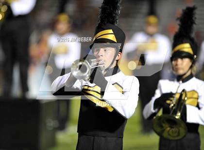 Thumbnail 2 in Pasco @ Mitchell photogallery.