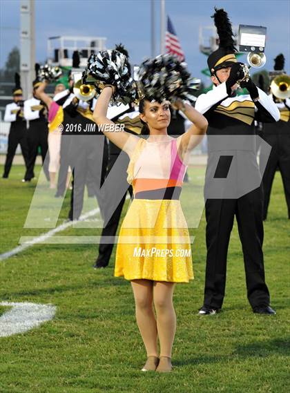 Thumbnail 3 in Pasco @ Mitchell photogallery.