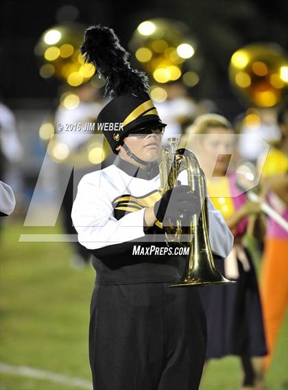 Thumbnail 1 in Pasco @ Mitchell photogallery.