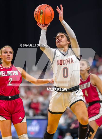 Thumbnail 2 in Nocona vs. Wellington (UIL 2A Basketball Semifinal) photogallery.