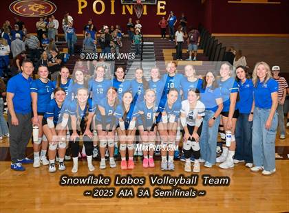 Thumbnail 2 in Snowflake @ Northwest Christian (AIA 3A Semifinal) photogallery.