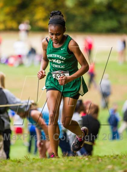 Thumbnail 3 in CCC Cross Country Championships photogallery.