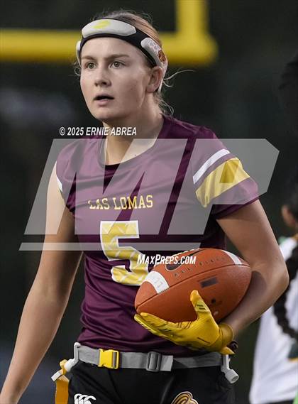 Thumbnail 1 in Las Lomas vs. Castro Valley (CIF NCS D1 Quarterfinals) photogallery.
