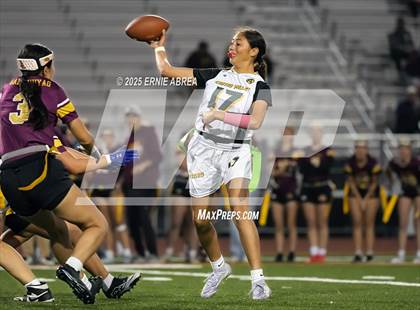 Thumbnail 3 in Las Lomas vs. Castro Valley (CIF NCS D1 Quarterfinals) photogallery.