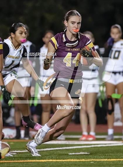 Thumbnail 1 in Las Lomas vs. Castro Valley (CIF NCS D1 Quarterfinals) photogallery.