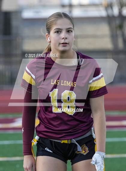 Thumbnail 3 in Las Lomas vs. Castro Valley (CIF NCS D1 Quarterfinals) photogallery.
