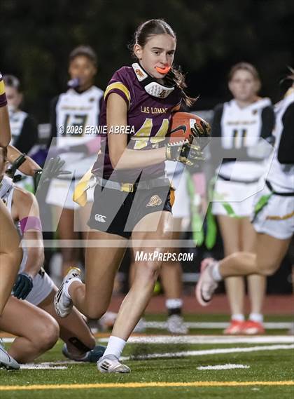 Thumbnail 1 in Las Lomas vs. Castro Valley (CIF NCS D1 Quarterfinals) photogallery.