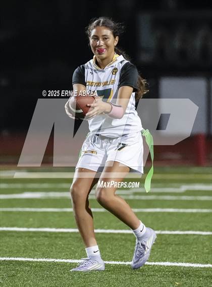 Thumbnail 1 in Las Lomas vs. Castro Valley (CIF NCS D1 Quarterfinals) photogallery.