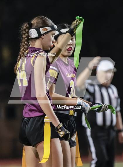 Thumbnail 1 in Las Lomas vs. Castro Valley (CIF NCS D1 Quarterfinals) photogallery.