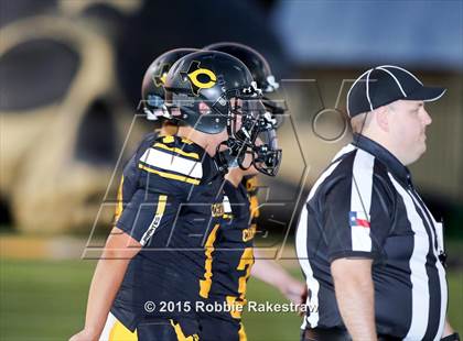 Thumbnail 2 in Ferris @ Crandall photogallery.