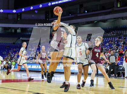 Thumbnail 3 in Liberty vs. Mansfield Timberview (UIL 5A Basketball Final) photogallery.