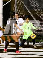 Photo from the gallery "Burlingame @ Saint Francis"