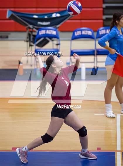 Thumbnail 3 in Wilson @ Los Altos photogallery.