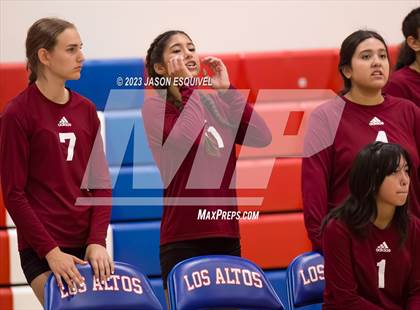 Thumbnail 3 in Wilson @ Los Altos photogallery.