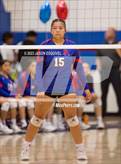 Photo from the gallery "Wilson @ Los Altos"
