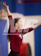 Photo from the gallery "Wilson @ Los Altos"