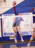 Photo from the gallery "Wilson @ Los Altos"
