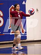 Photo from the gallery "Wilson @ Los Altos"